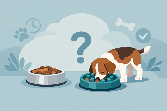 Slow Feeder Bowl for Dogs: Is It Worth It?