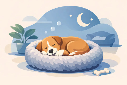 Best Calming Dog Bed for Better Rest